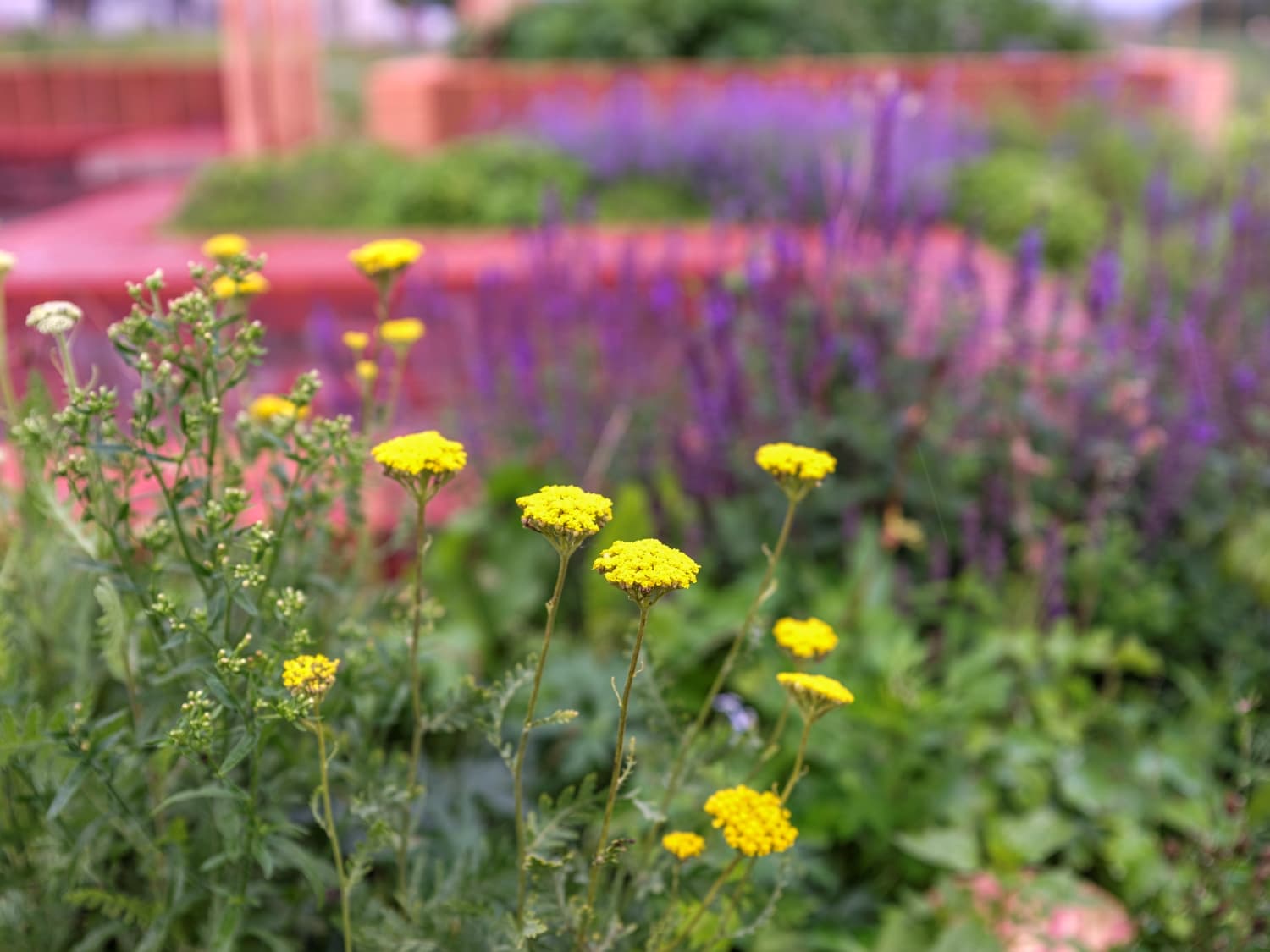 Biochar in urban landscaping at Alusta 2.0 Pavillion at Kerava, Finland